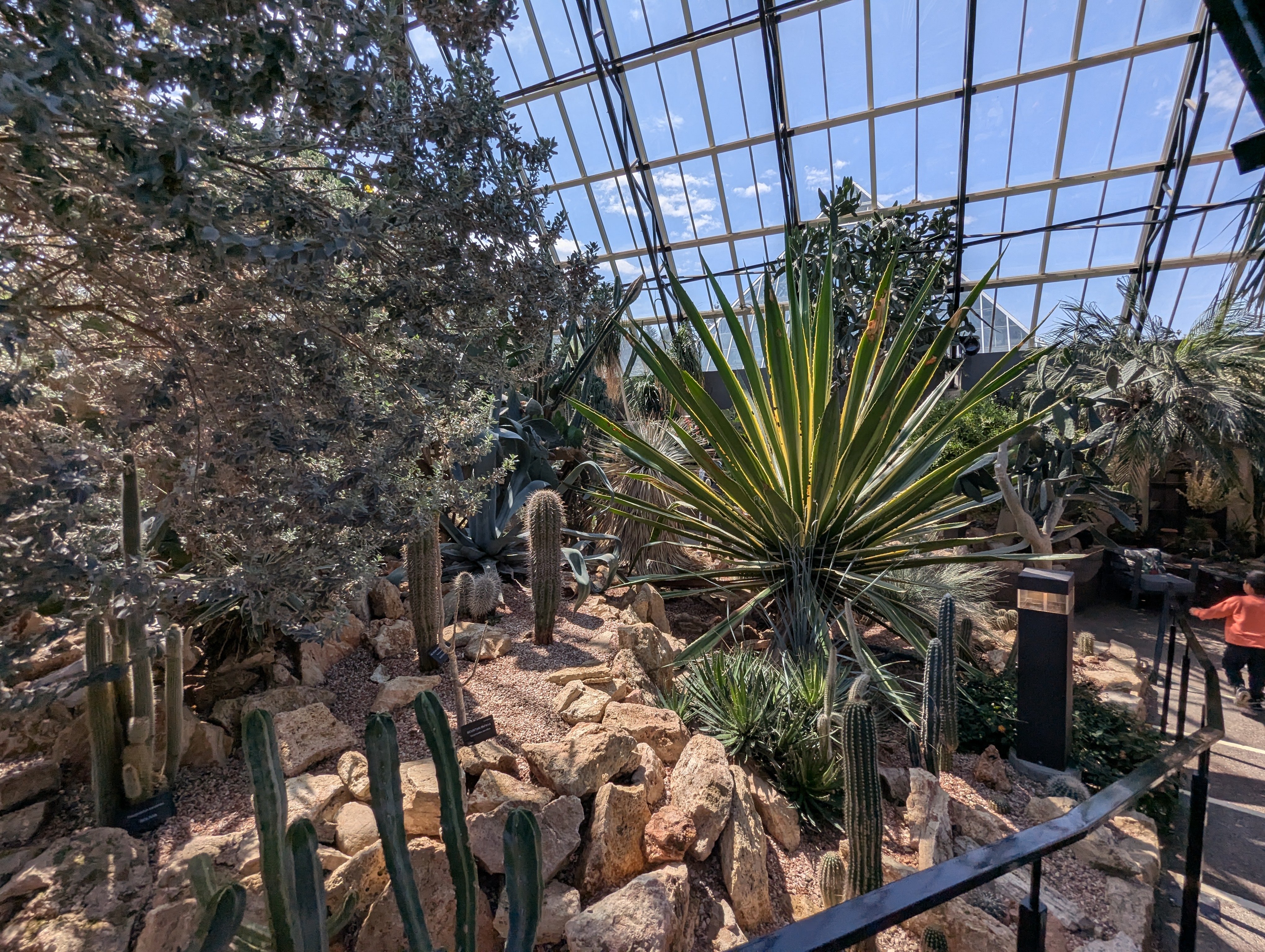 Birthday Trip to Canada, Edmonton, Pyramids, Muttart Observatory